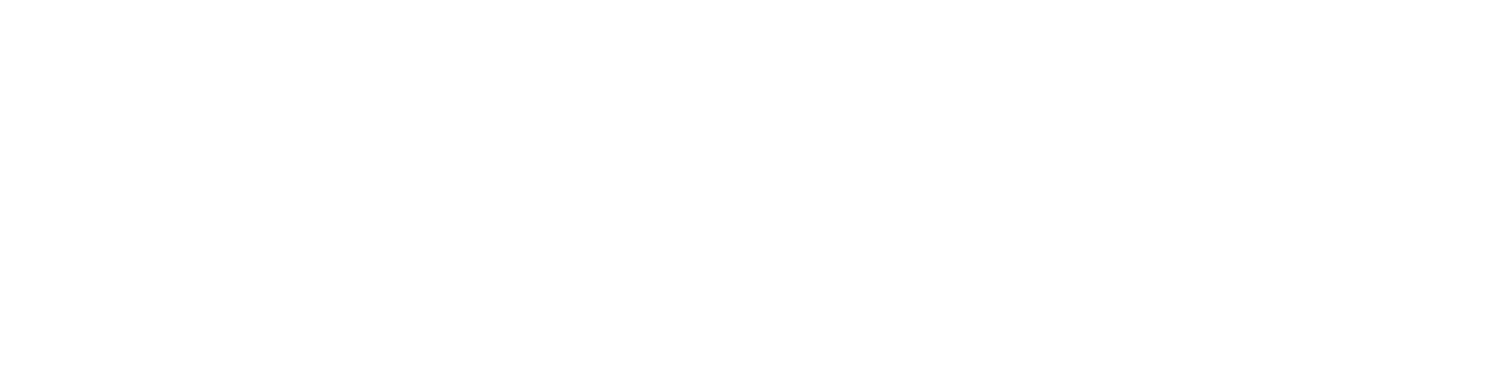 Insize